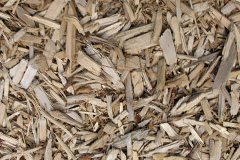 biomass boilers The Common